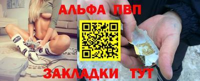 хмурый Тара