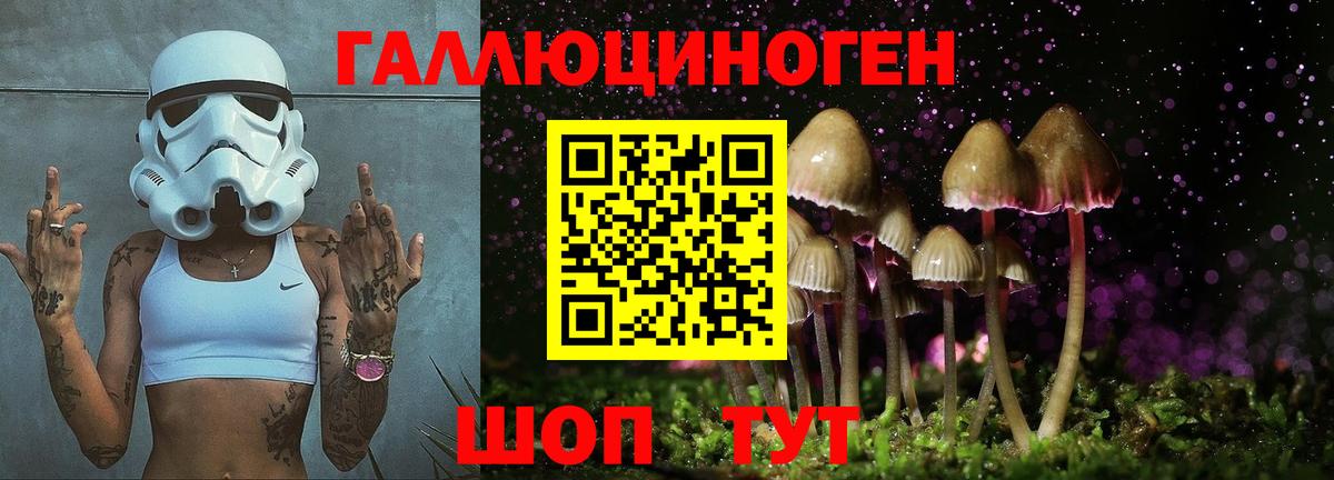 Галлюциногенные грибы ЛСД  Вход с VPN  Мурманск  Галлюциногенные грибы Cubensis 
