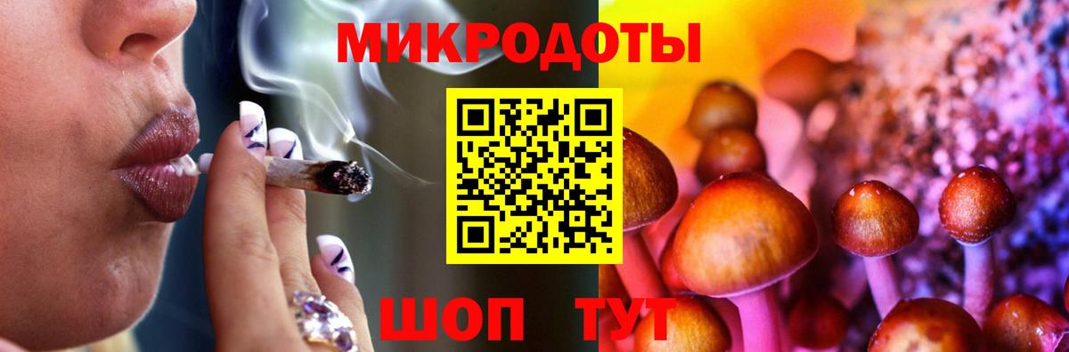 Псилоцибиновые грибы Psilocybine cubensis Мурманск