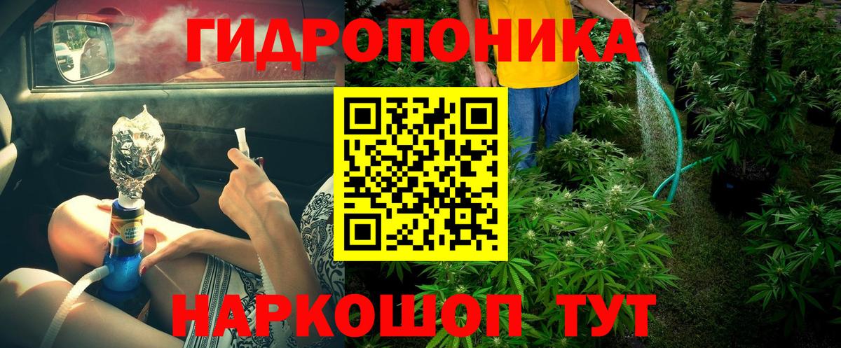 Конопля семена  Канабис LSD WEED  Мурманск  Конопля индика  Конопля Amnesia  Вход с VPN 